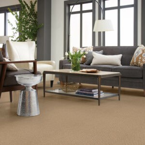 Living room carpet flooring | Tri-City Carpet | Vista, CA